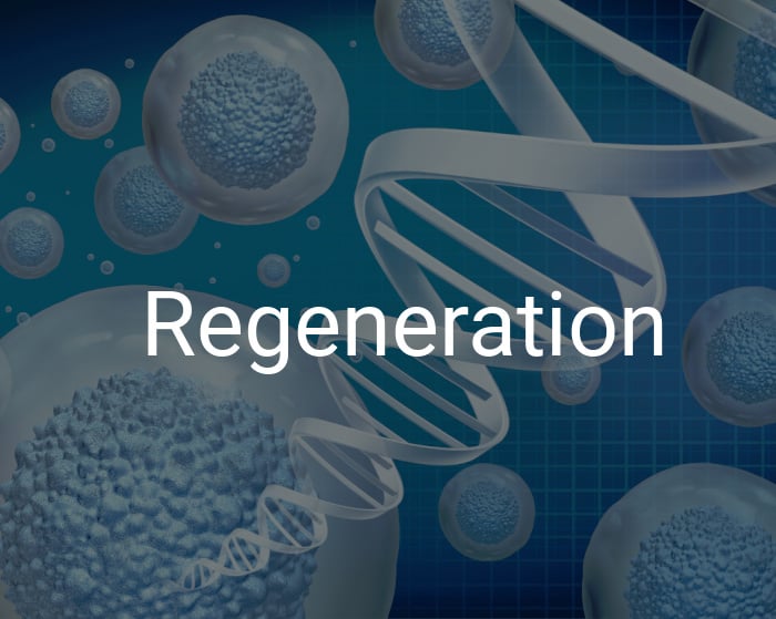 Regeneration - Home Page
